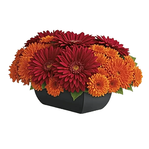 Radiant Bloom Cascade