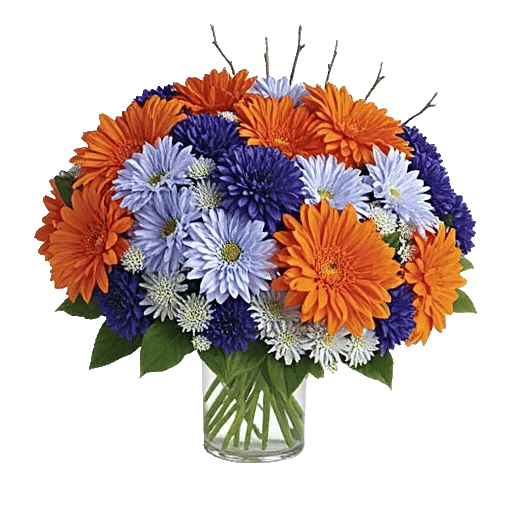 Radiant Bloom Cascade