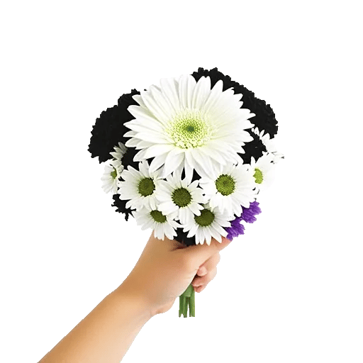 Modern White Orchids