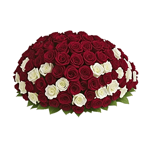 Crimson Rose Elegance