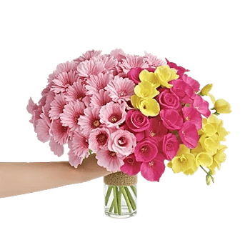 Blossom Grace Spread