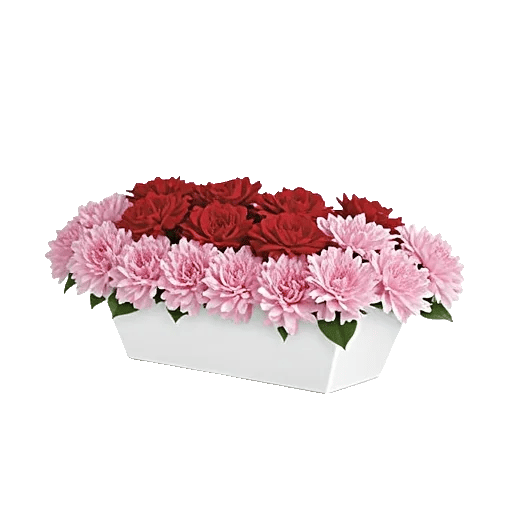 Delicate Petal Cascade