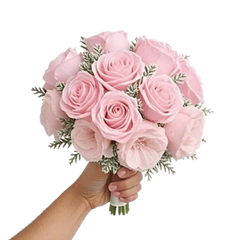 Pastel Pink Roses