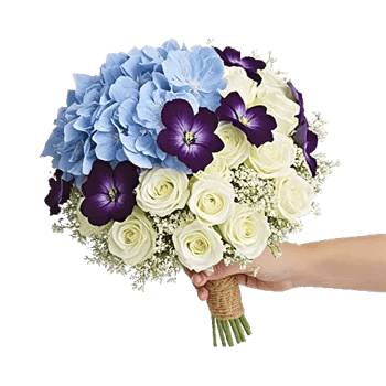 Serene Petal Harmony