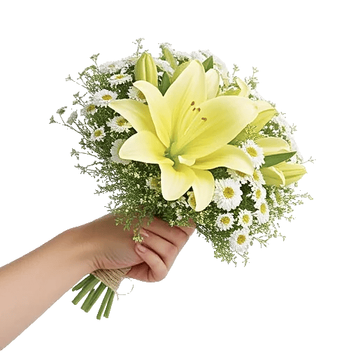 Blossom Harmony Display