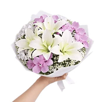 Minimalist White Orchids