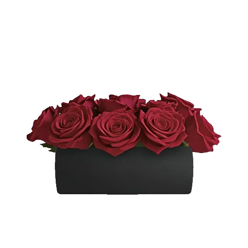 Crimson Rose Elegance