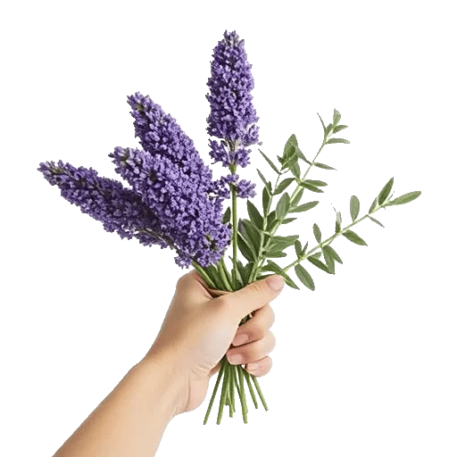 Lavender Bloom Grace