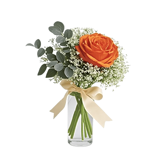 Radiant Rose Symphony