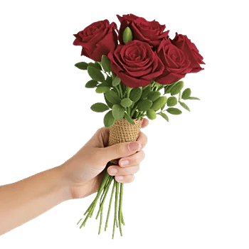 Crimson Rose Elegance