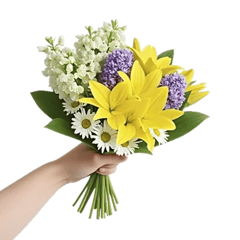 Blossom Harmony Display