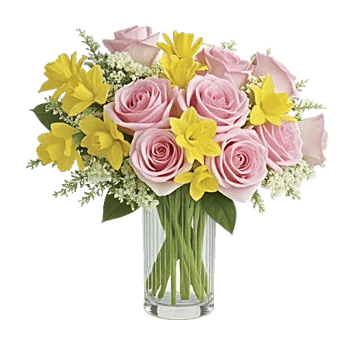 Radiant Rose Symphony