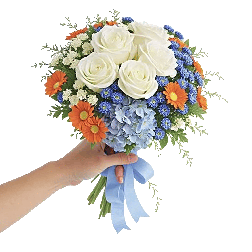 Serene Petal Harmony