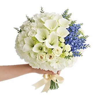 Ivory Garden Grace