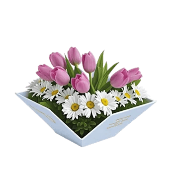 Velvet Tulip Display