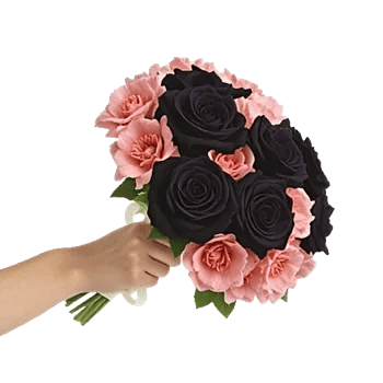 Blushing Rose Symphony