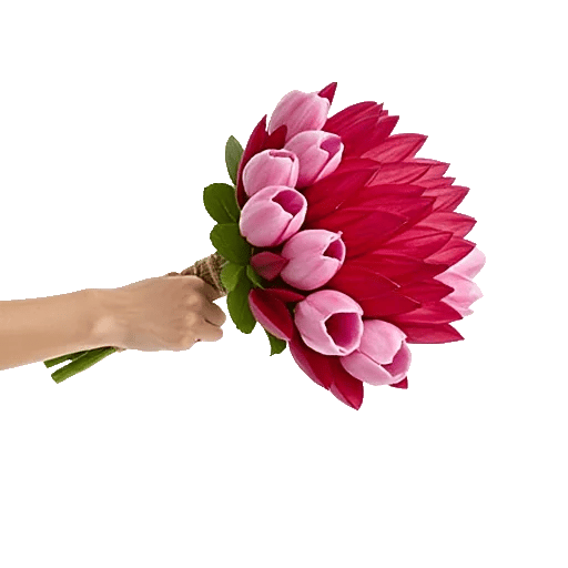 Pastel Pink Roses