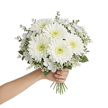 Minimalist White Orchids