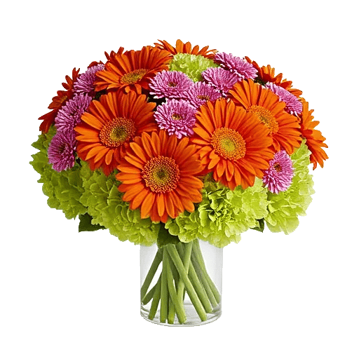 Radiant Bloom Cascade