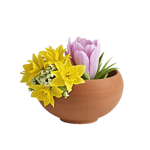 Crisp Spring Blooms