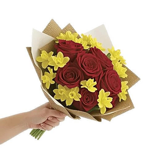 Crimson Rose Elegance