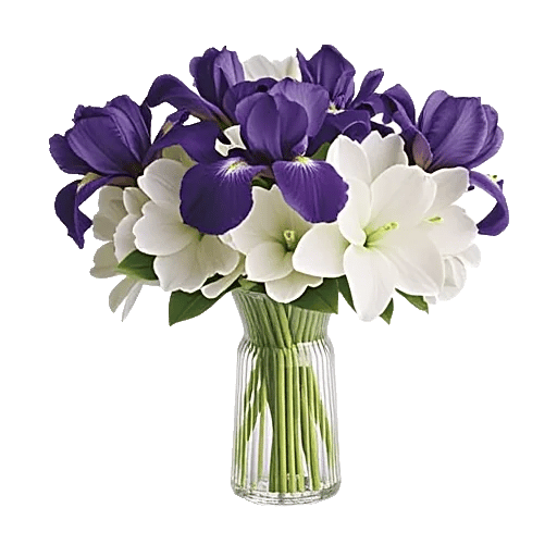 Ivory Blossom Radiance