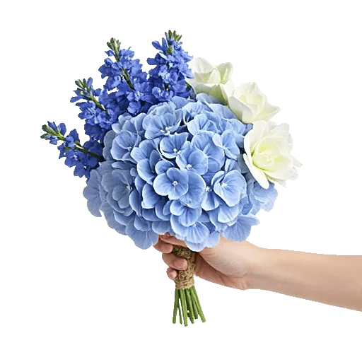 Sapphire Bloom Whisper