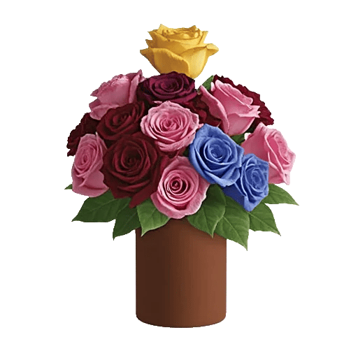 Radiant Rose Symphony