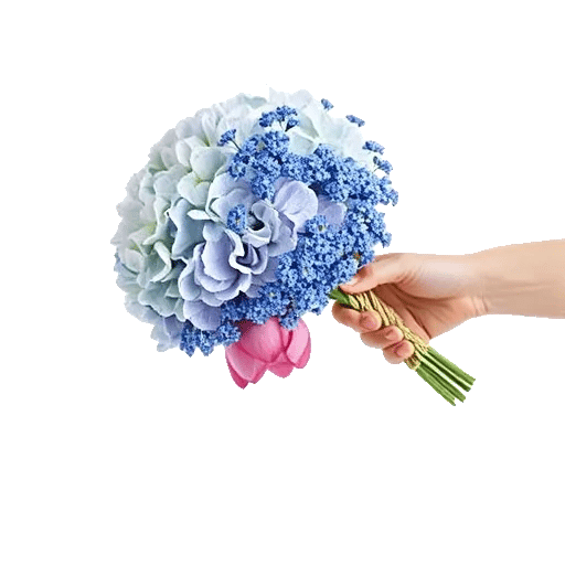 Serene Petal Harmony