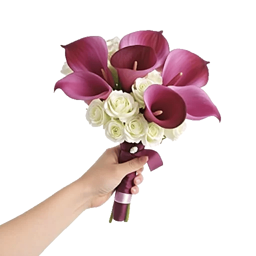 Elegant Calla Lilies
