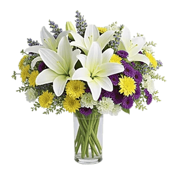 Serene Lily Cascade