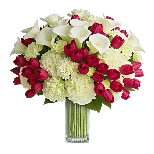 Elegant Calla Lilies