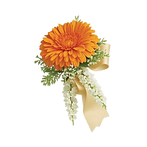 Petal Radiance Bliss