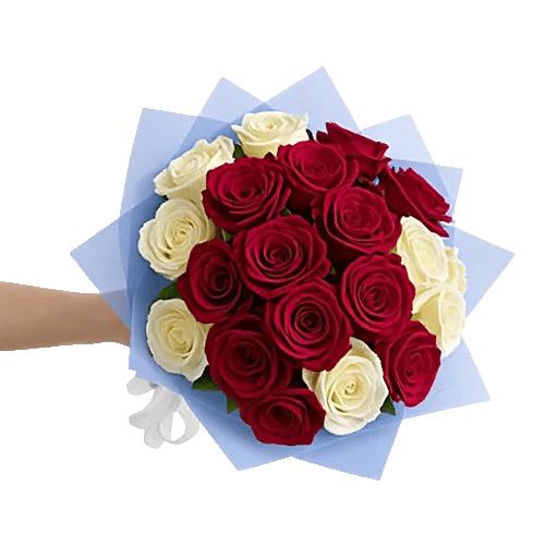 Crimson Rose Elegance