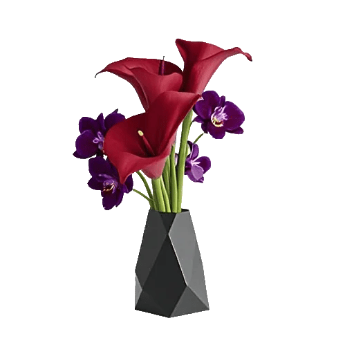 Elegant Calla Lilies