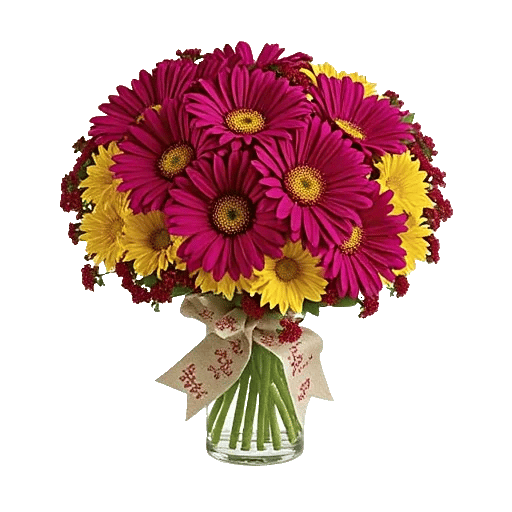 Petal Radiance Bliss