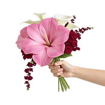 Elegant Calla Lilies