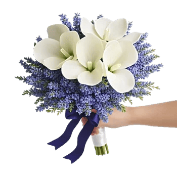 Ivory Garden Grace