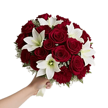 Blushing Rose Symphony