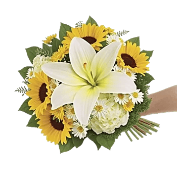 Graceful Lily Display