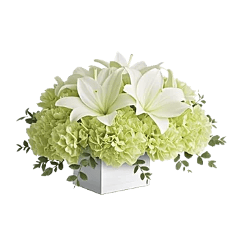 Graceful Lily Display