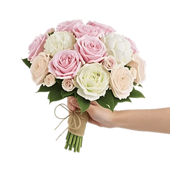 Pastel Pink Roses