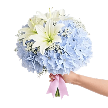 Blossom Petal Serenity