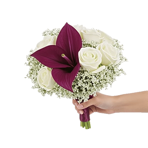 Elegant Calla Lilies