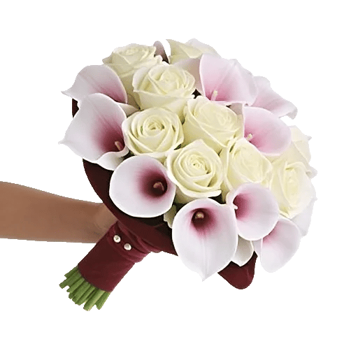 Elegant Calla Lilies