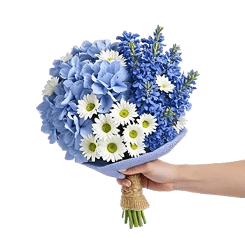 Sapphire Bloom Whisper