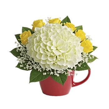 Serene Garden Harmony