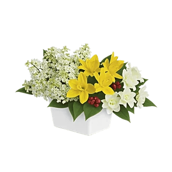 Graceful Lily Display