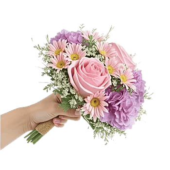 Pastel Pink Roses