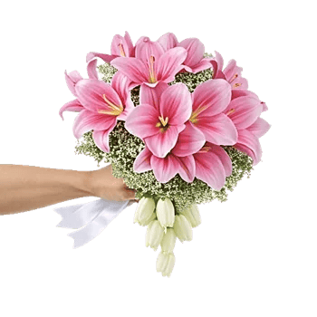 Elegant Calla Lilies